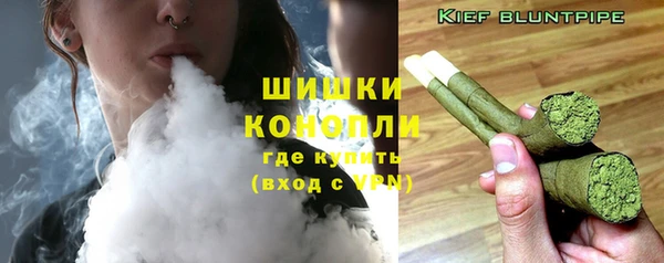 PSILOCYBIN Алзамай