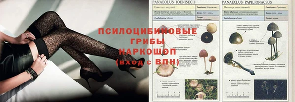 a pvp Алексин