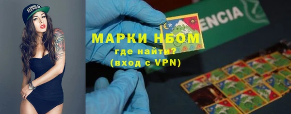 PSILOCYBIN Алзамай
