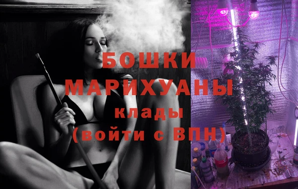 PSILOCYBIN Алзамай